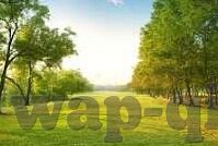 麻豆av勾引少妇-网络伦理界限，理性审视成人内容的边界