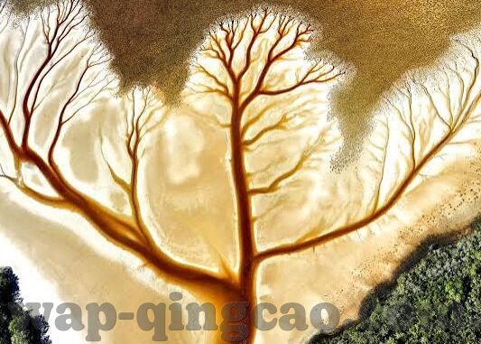 糖心app苹果手机下载-解锁新体验 —— 糖心App在苹果手机上的实用下载指南