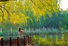 糖心app下载ios-从时尚应用到日常生活，深度探索糖心APP的iOS下载体验